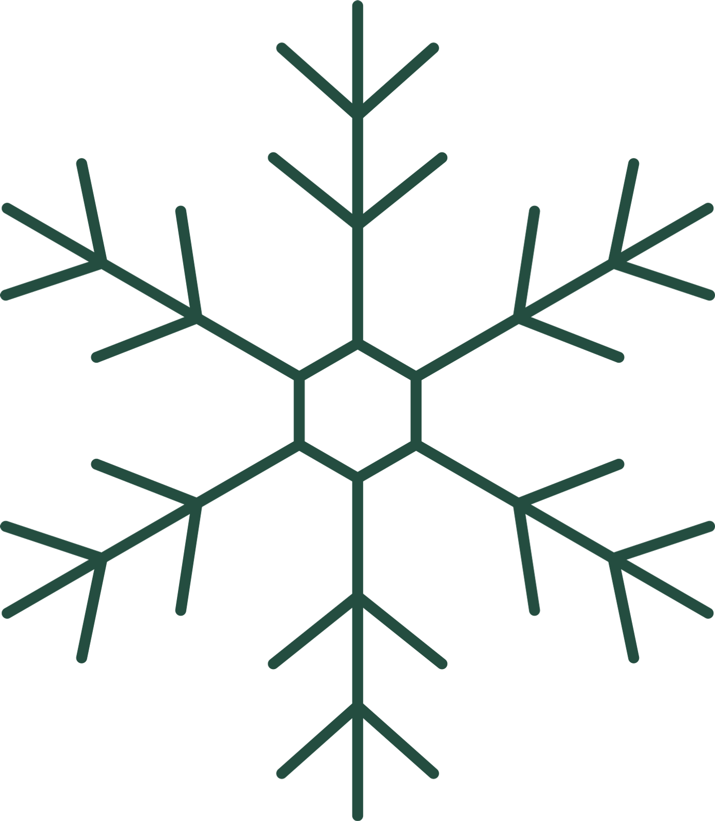 Branch snowflake