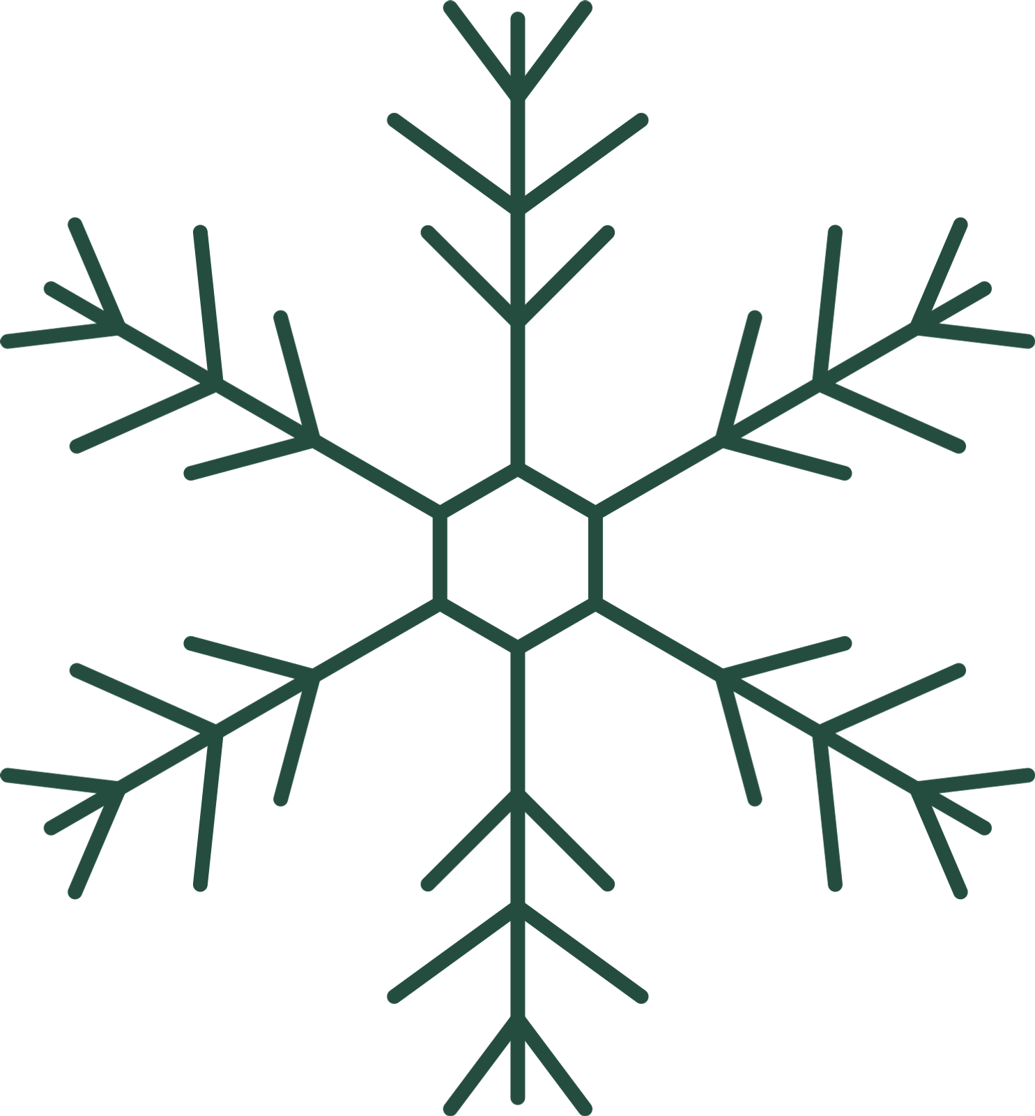 Fern snowflake