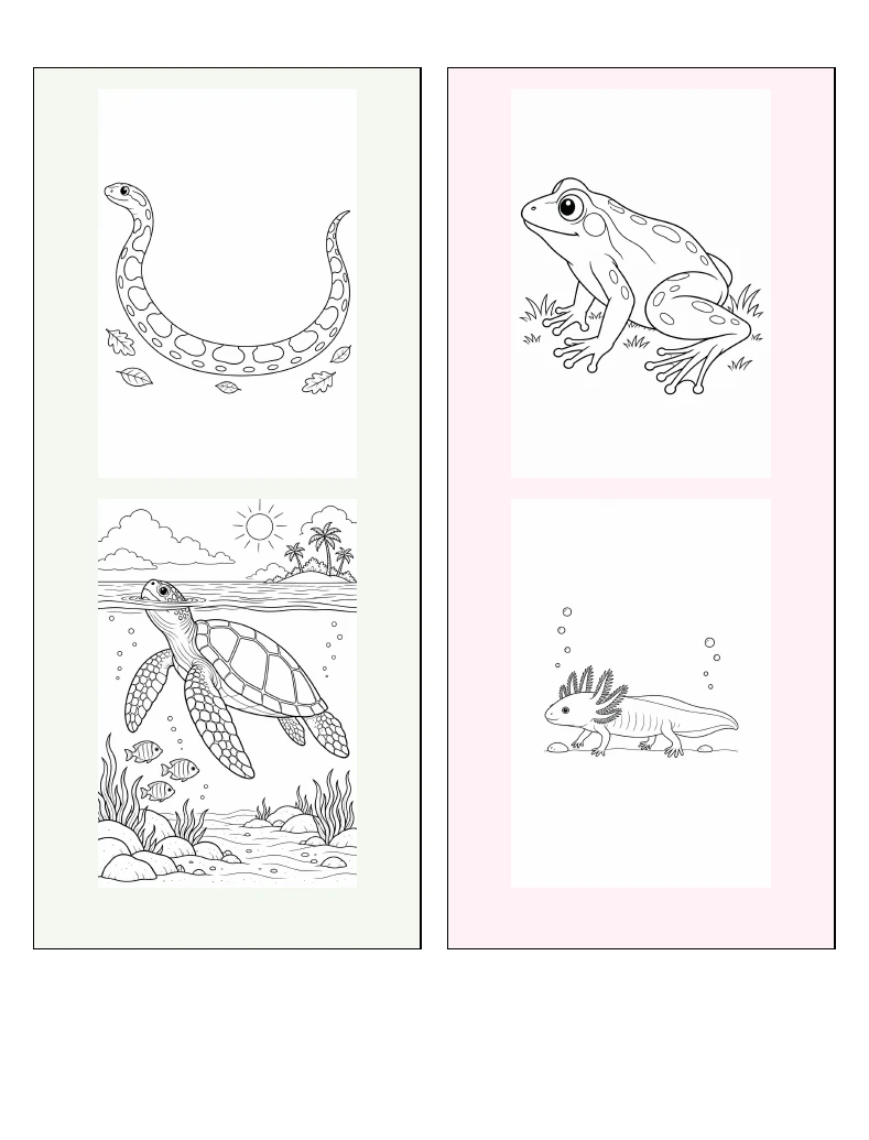 Snake and sea turtle cards grouped on the left; frog and axolotl cards on the right.