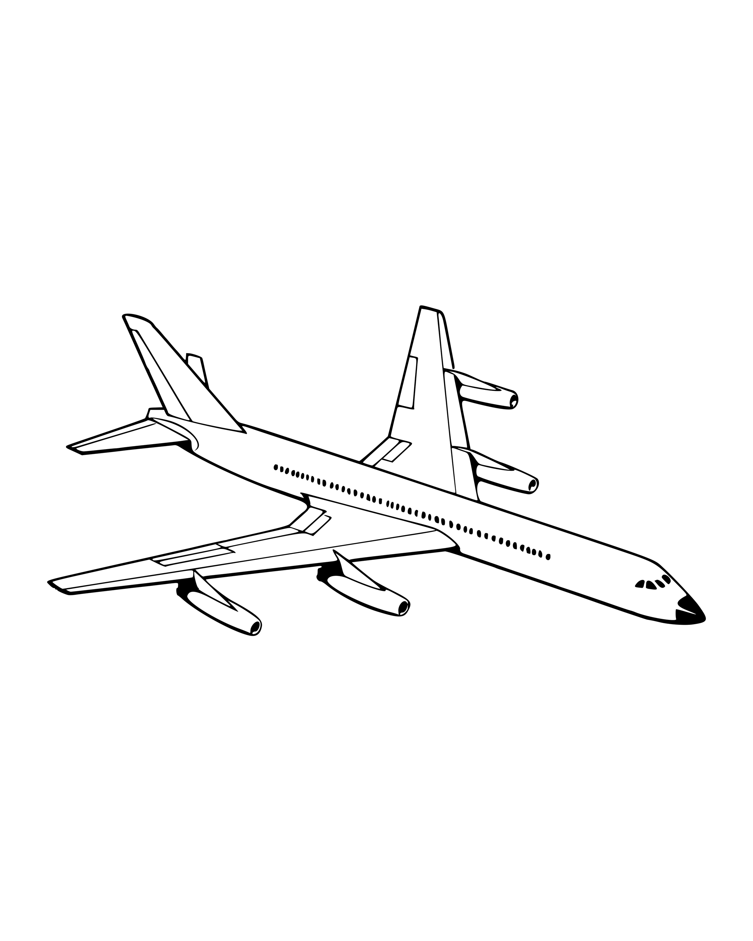 Passenger Airplane