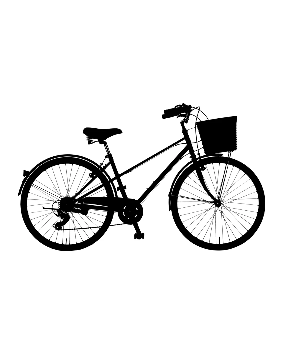 Bicycle with a Front Basket