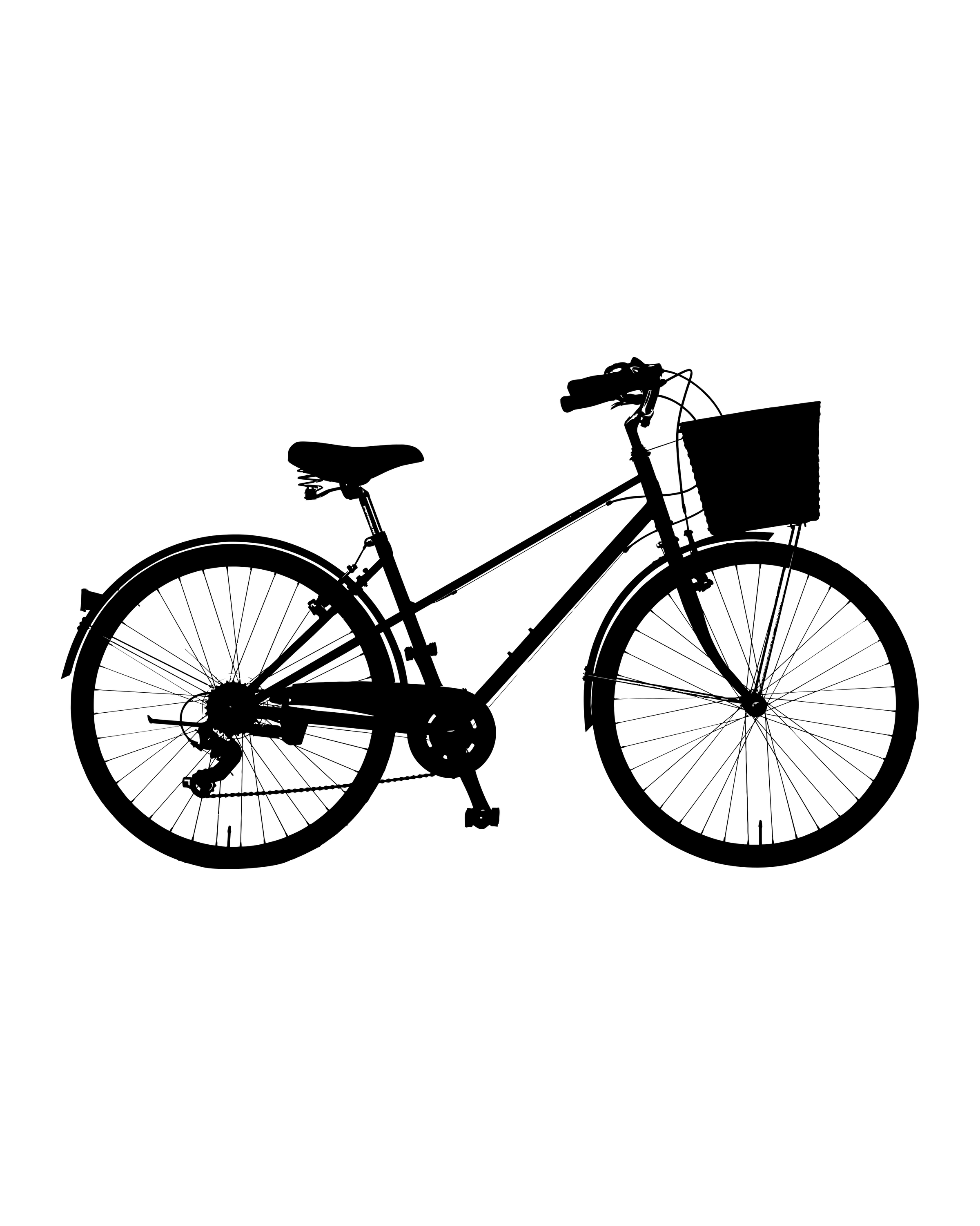 Bicicletta con cestino anteriore