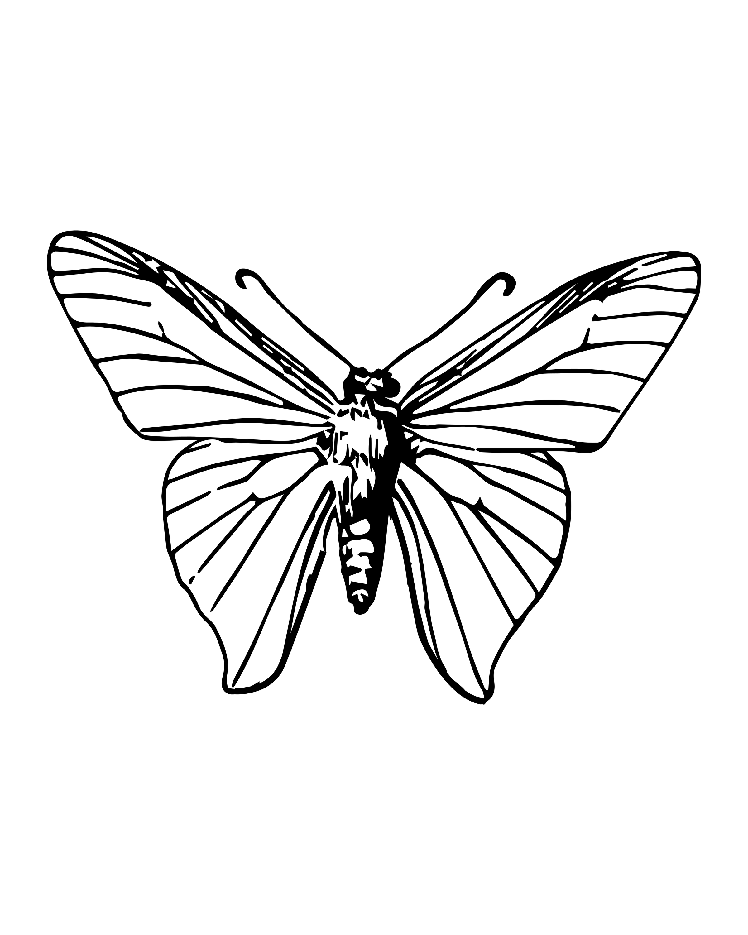 Butterfly with Long Wings