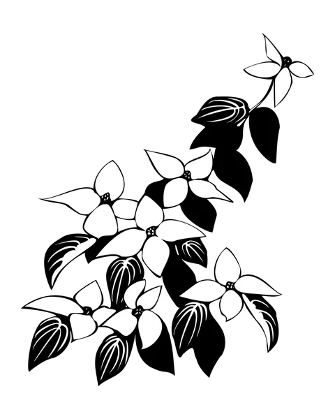 Branch with Flowers and Leaves