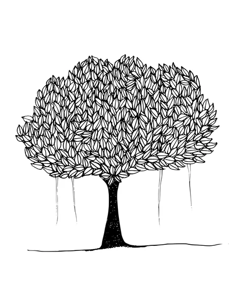 Tree with Many Small Leaves