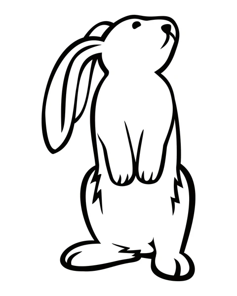座るウサギ
