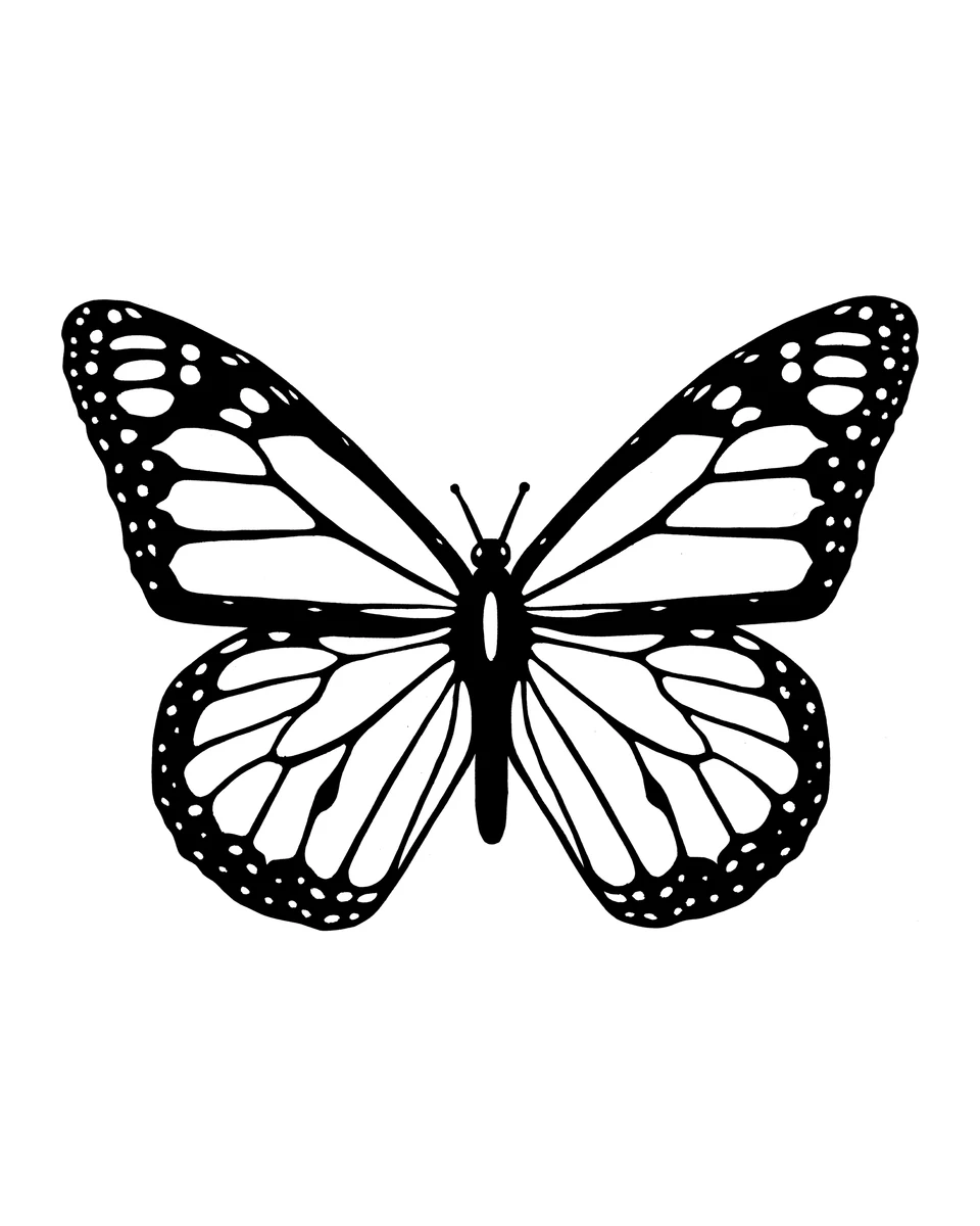 Mariposa con bordes de alas moteados