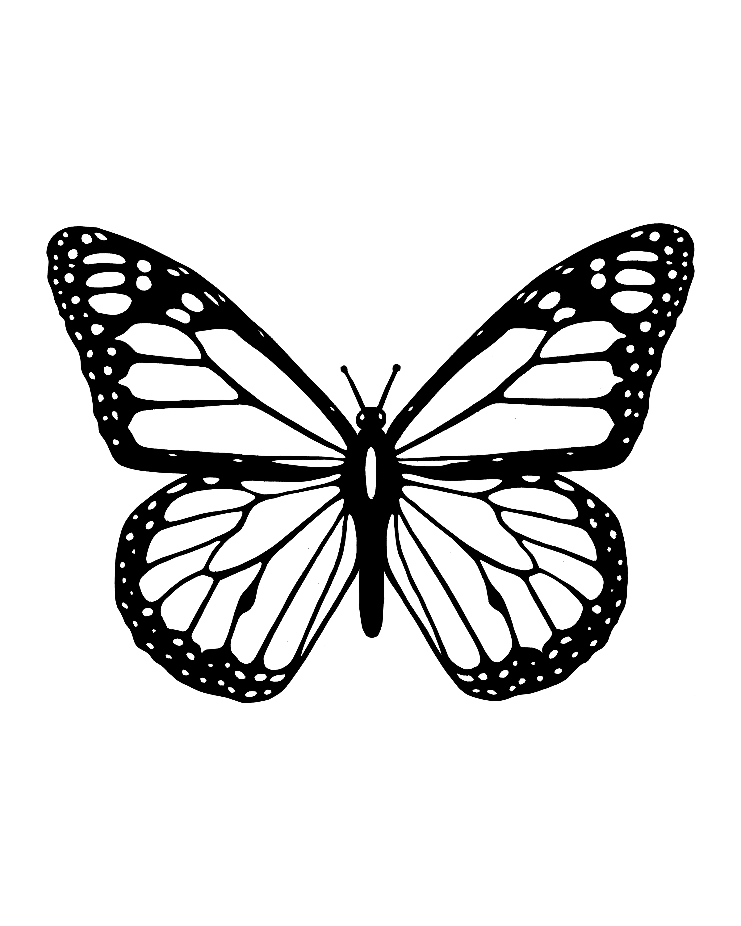 Butterfly with Spotted Wing Edges