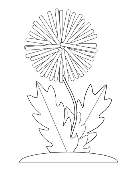 Dandelion Flower and Leaves