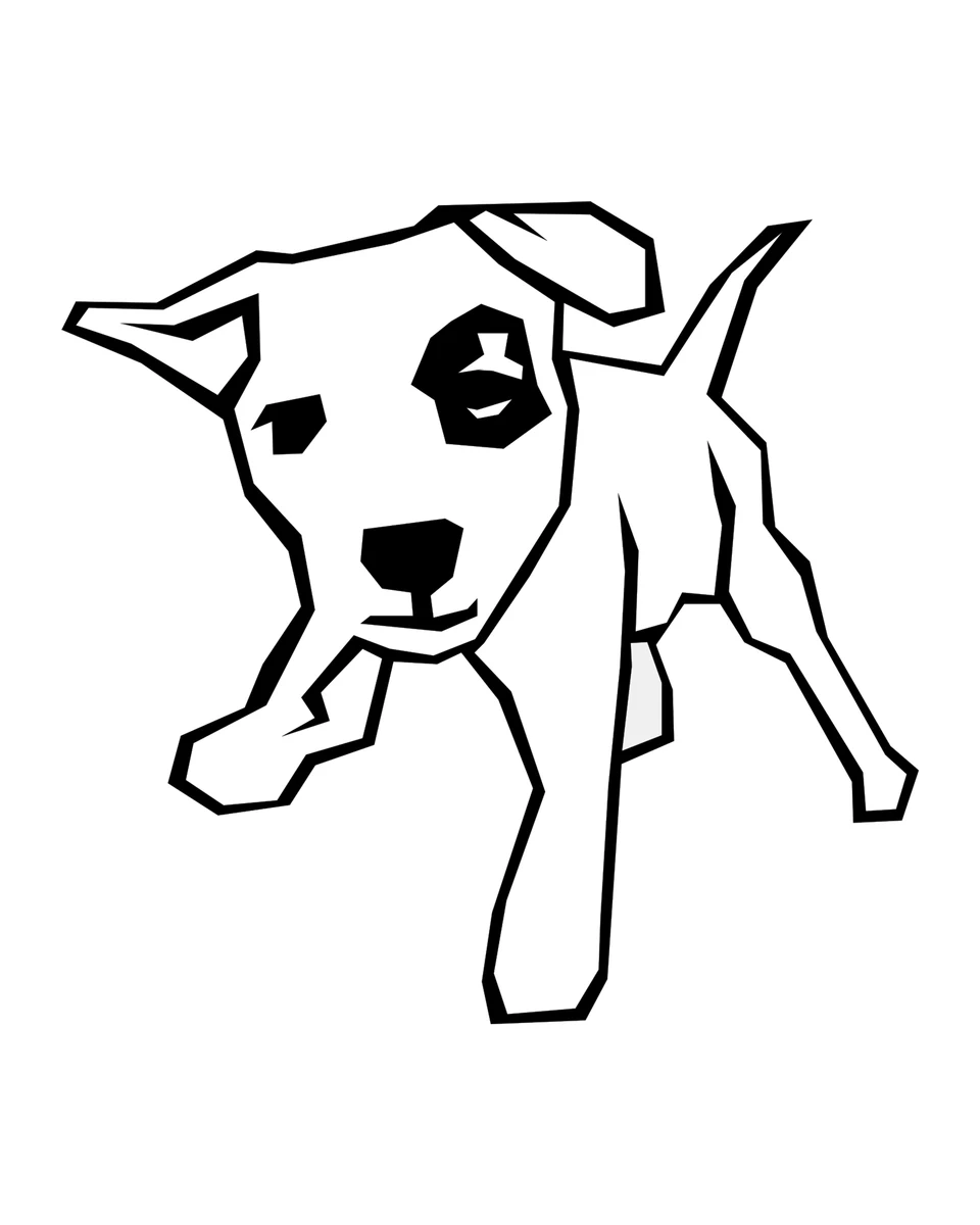 Dog with an Eye Patch