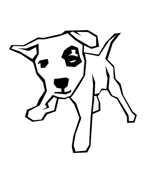 Chien avec une tache sur l'œil