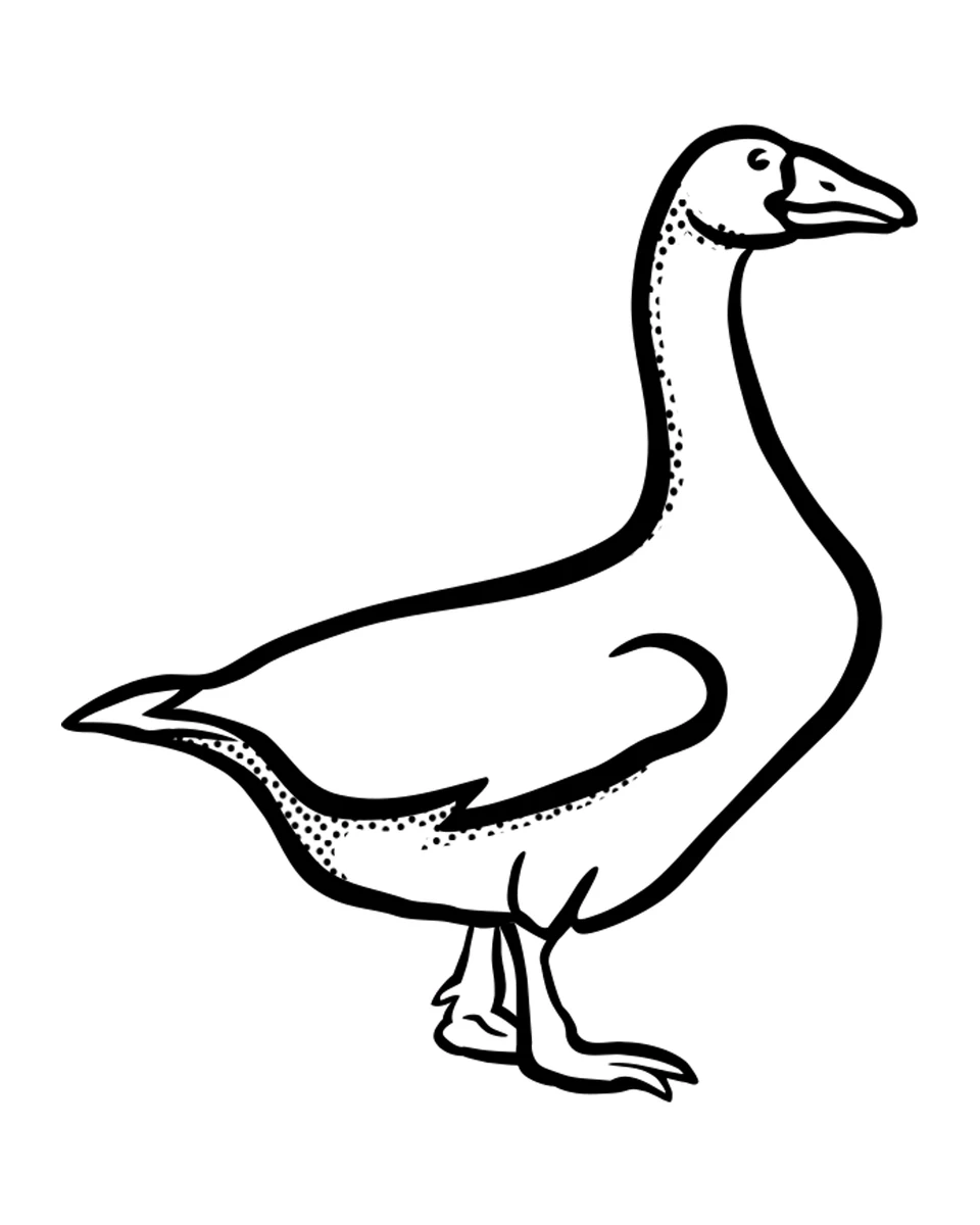Standing Goose