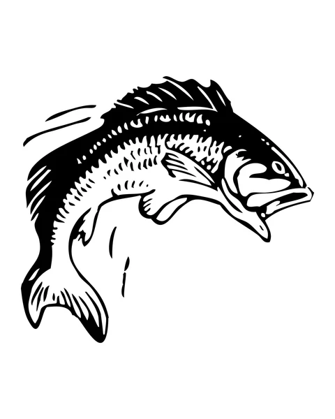 Jumping Fish
