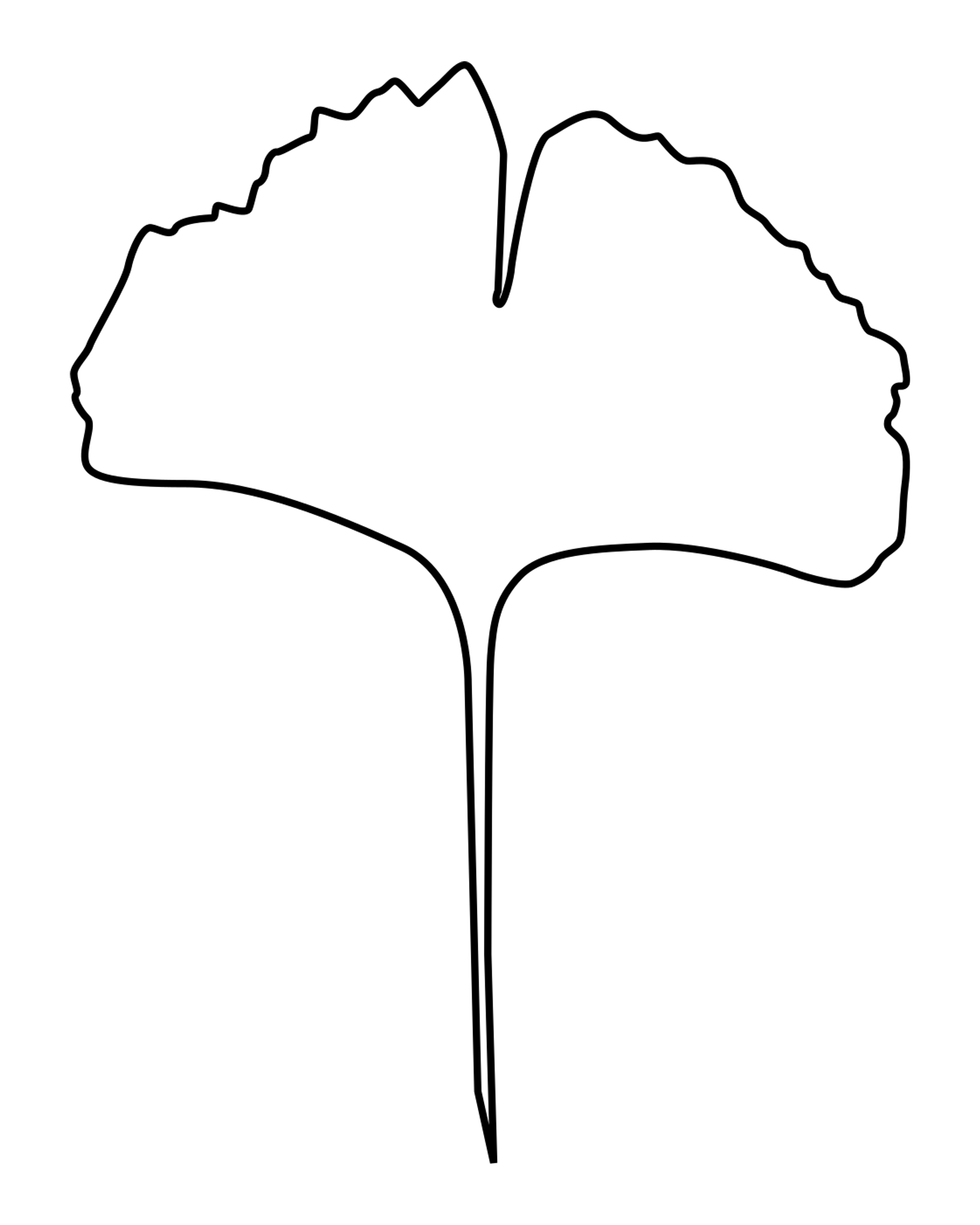 Ginkgo Leaf