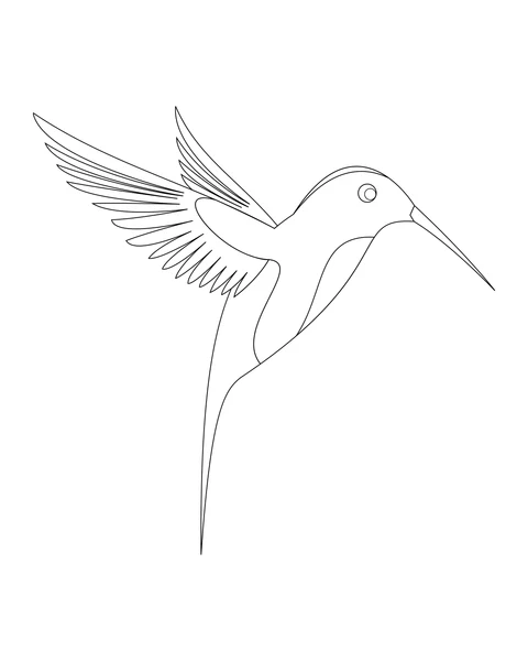 A hummingbird spreads its feathered wings, with a long pointed beak and tail.