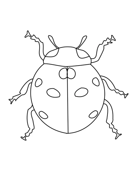 Ladybird with Spots