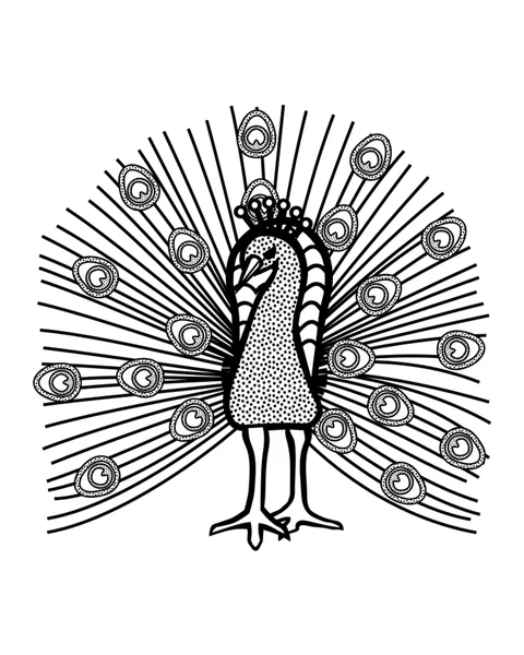 Peacock with Fanned Tail