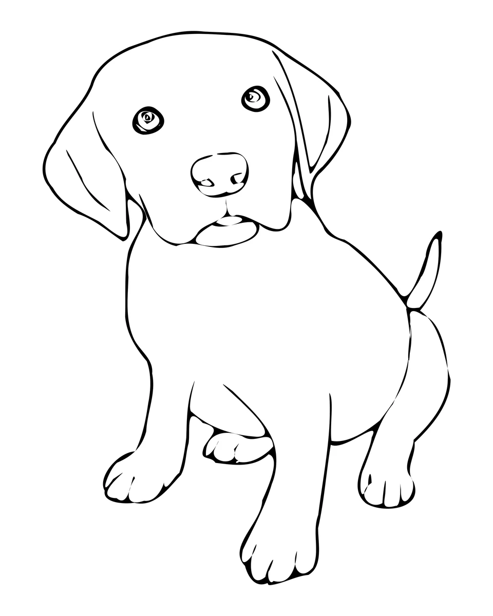 Zittende puppy