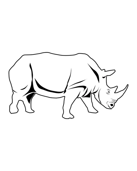 Rhinoceros in Profile