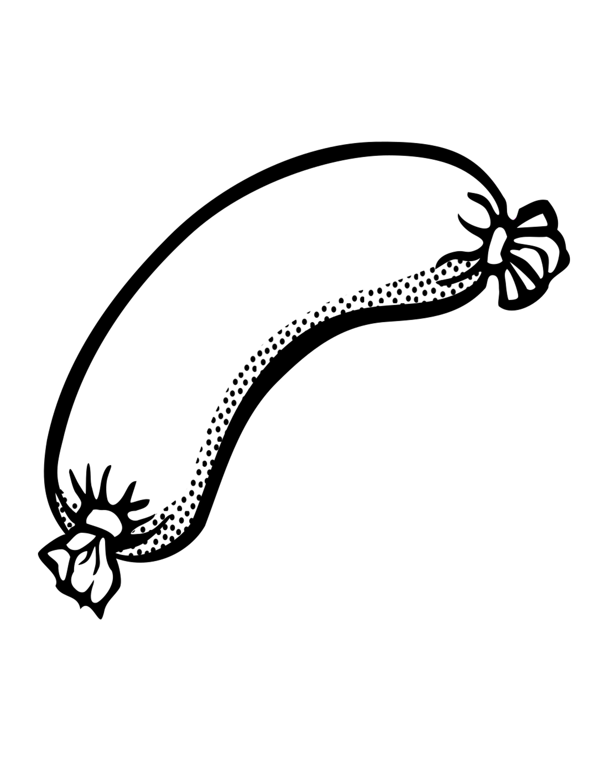 Sausage with Tied Ends