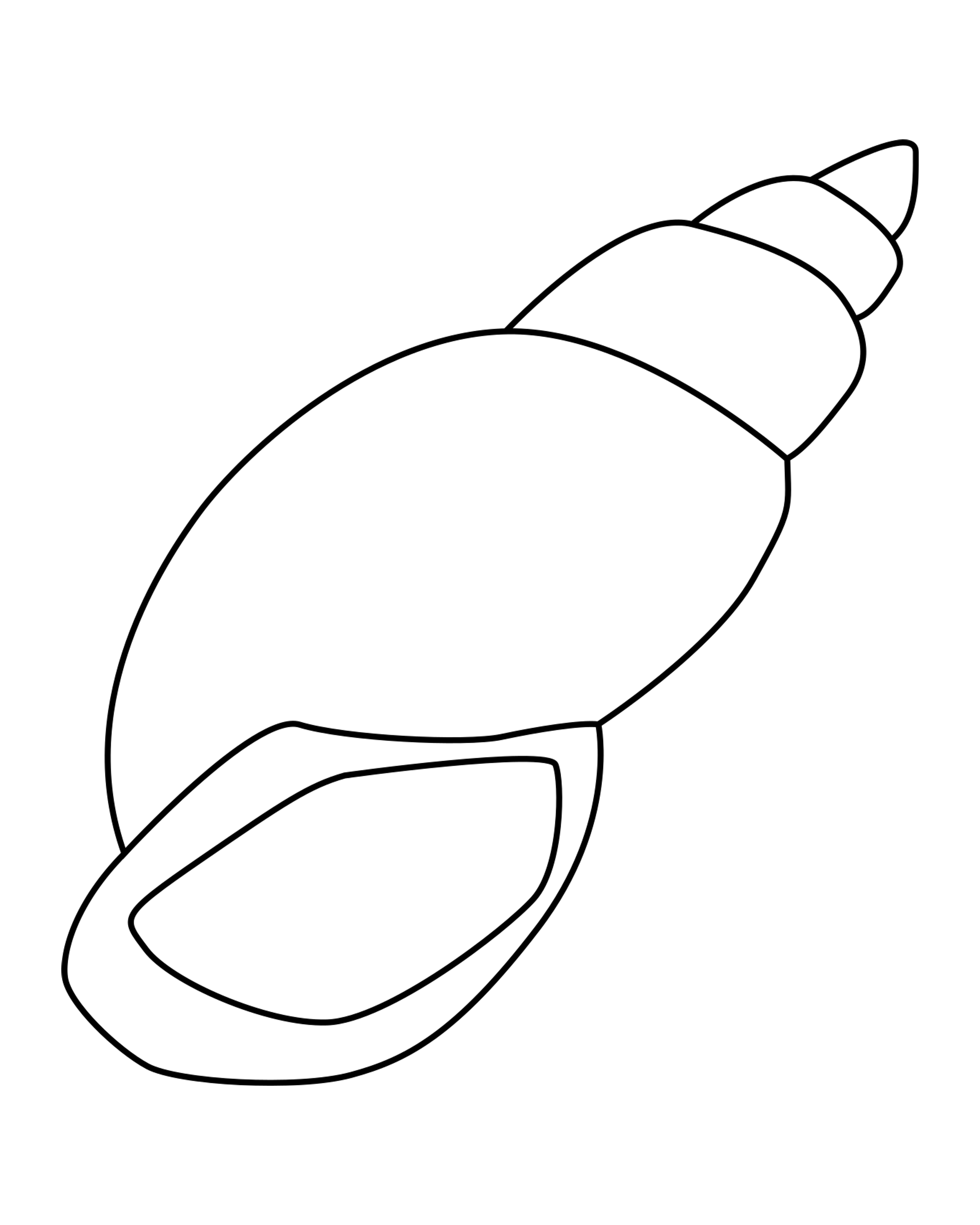 Spiral Seashell
