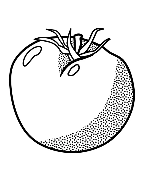 A rounded tomato with pointed leaves and small dots along one side.