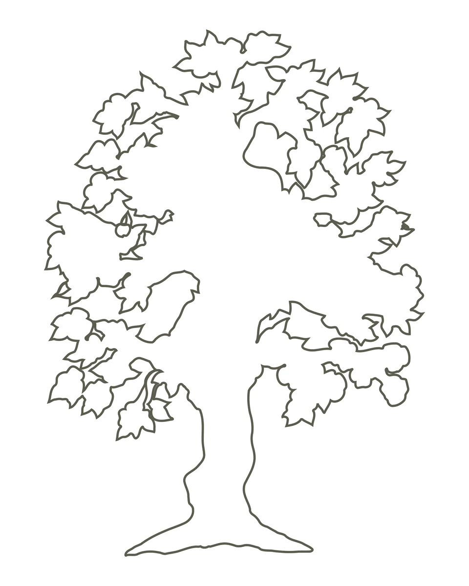 Leafy Tree Outline