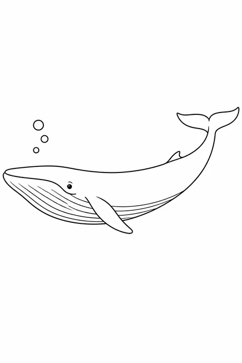 Blue Whale: One animal swimming beside three bubbles, with broad spaces to color.