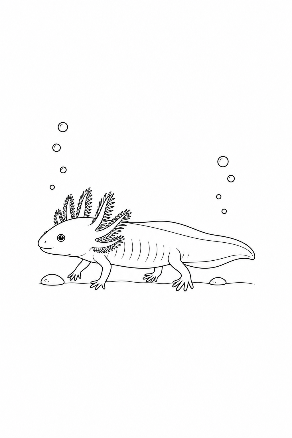 An axolotl walks left in side view, with small feet beneath its long body and a fin along its tapered tail.