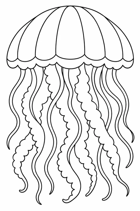 Curved panels divide a jellyfish bell above flowing arms.