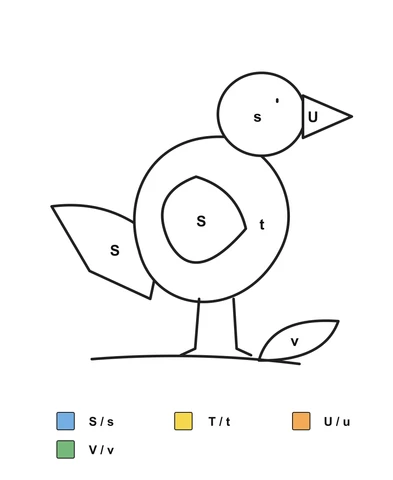 Bird on a leafy branch with s, S, t, U and v in its sections, above a color key for the English letter pairs S/s, T/t, U/u and V/v.