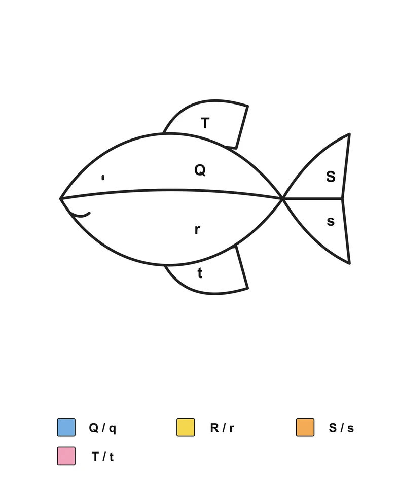 Fish with a divided body and tail, two fins and labels Q, r, S, s, T and t, above an English Q/q, R/r, S/s and T/t color key.