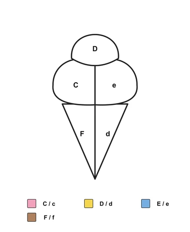 Ice cream with three upper sections and a cone split in two, labeled C, D, e, F and d, above an English C/c, D/d, E/e and F/f color key.