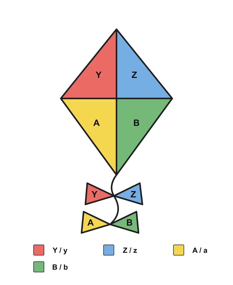 Kite: English Letter Matching — Answer key