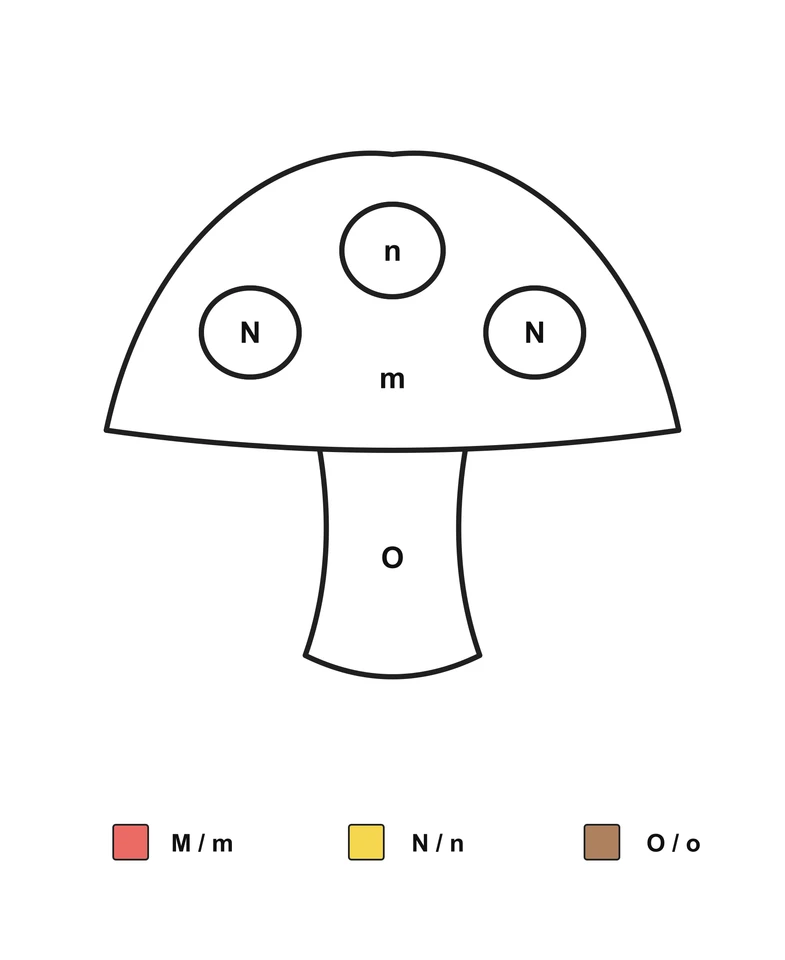 Broad-capped mushroom with m on the cap, N or n in three spots, O on the stem and a letter-pair color key.