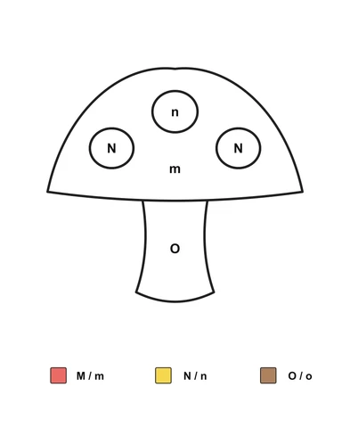 Broad-capped mushroom with m on the cap, N or n in three spots, O on the stem and a letter-pair color key.