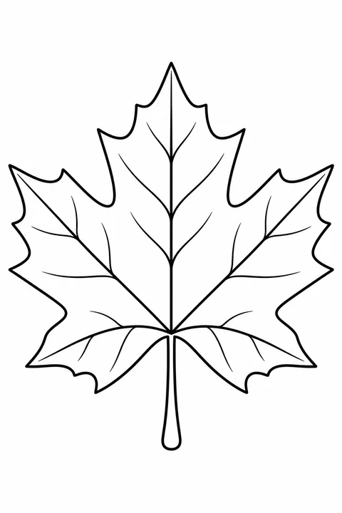 A large maple leaf has clear veins and open areas for autumn colors.