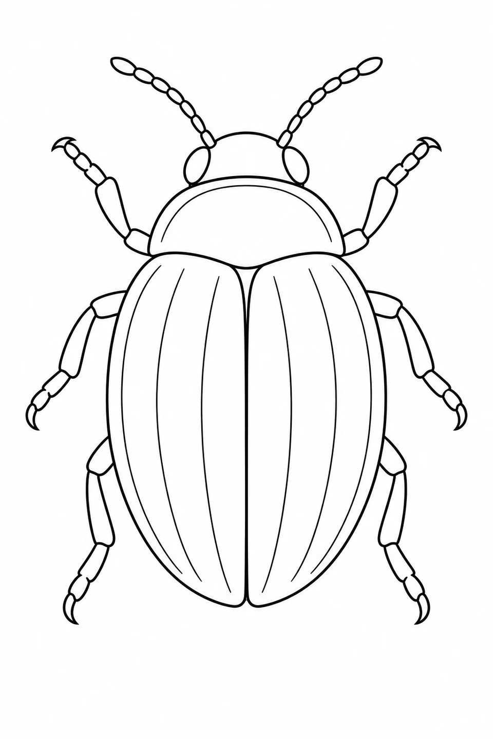 A top-view beetle with six legs, two antennae and grooved wing covers.
