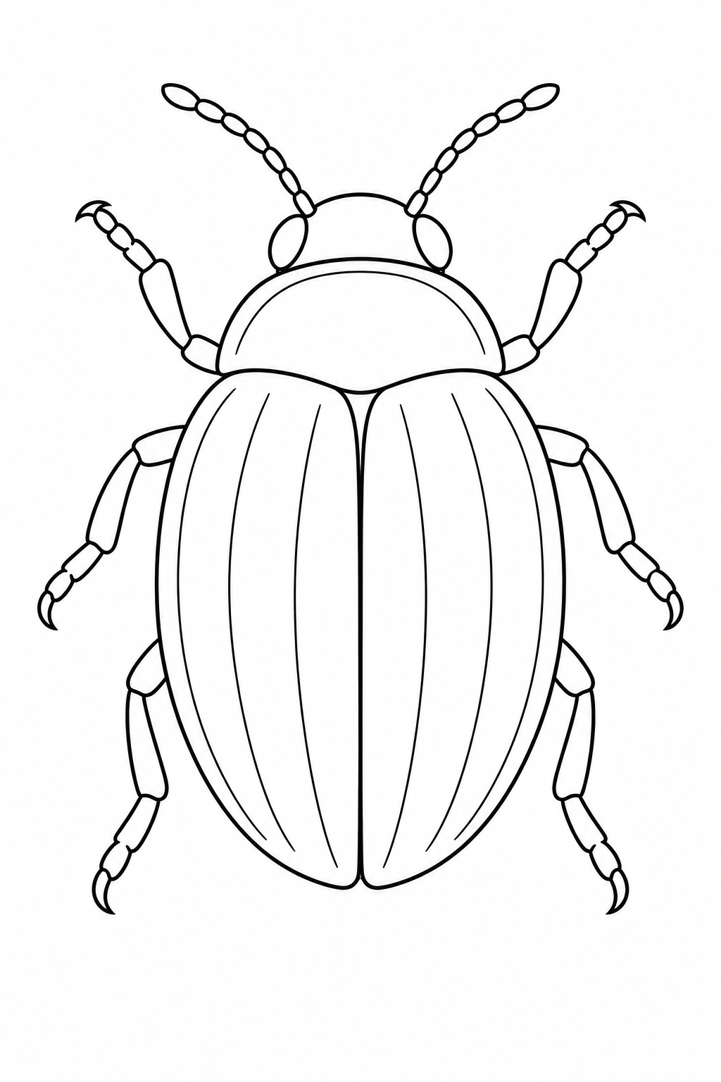 A top-view beetle with six legs, two antennae and grooved wing covers.