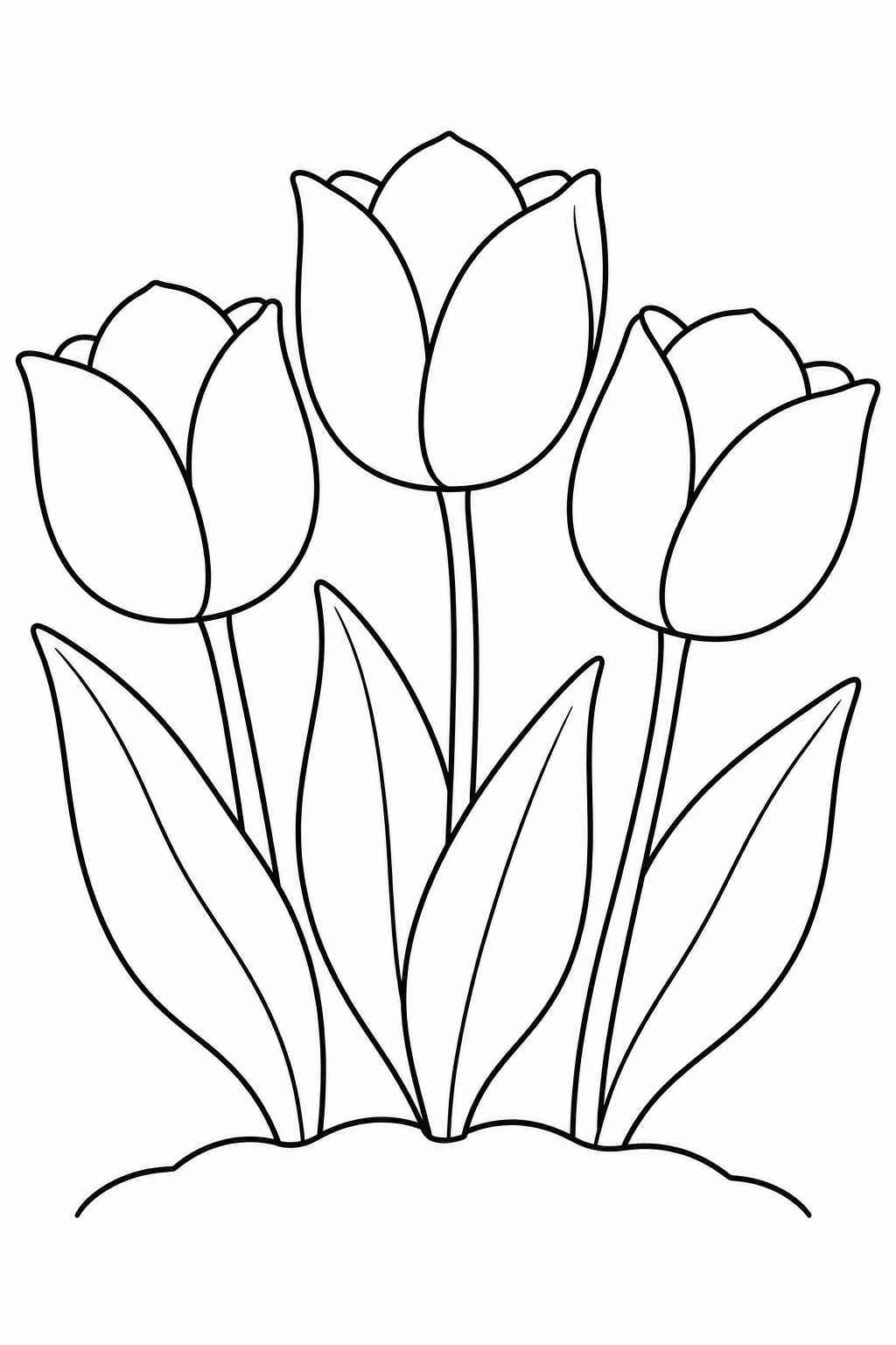 Drie grote tulpen bloeien boven brede bladeren.