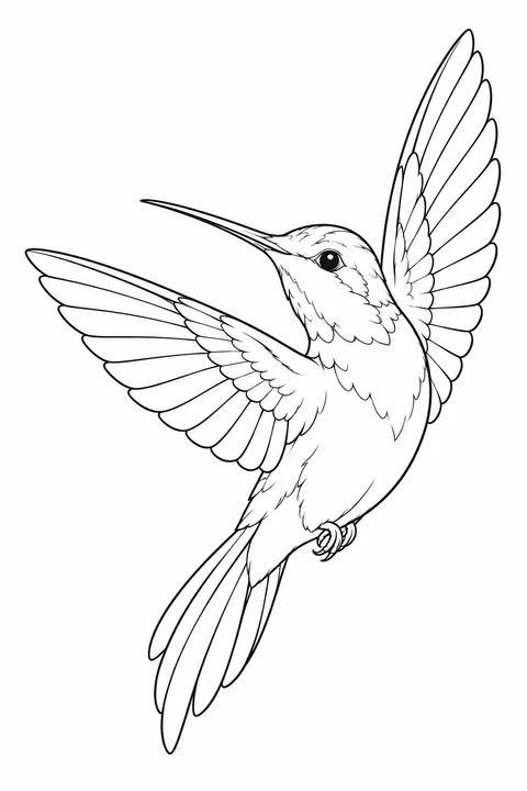 Hummingbird with an upward-pointing bill, unevenly spread wings and a long downward tail.
