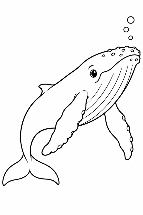A humpback whale swims beside three bubbles, with long flippers and broad spaces to color.