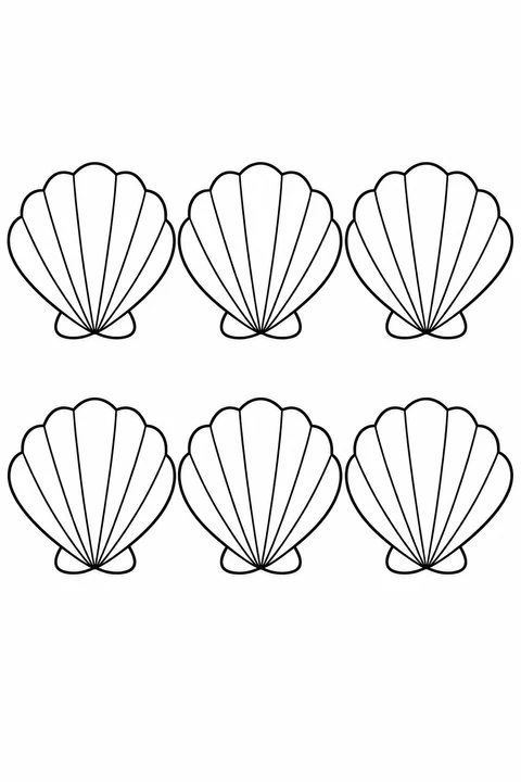 Count six scallop shells arranged in two rows of three.