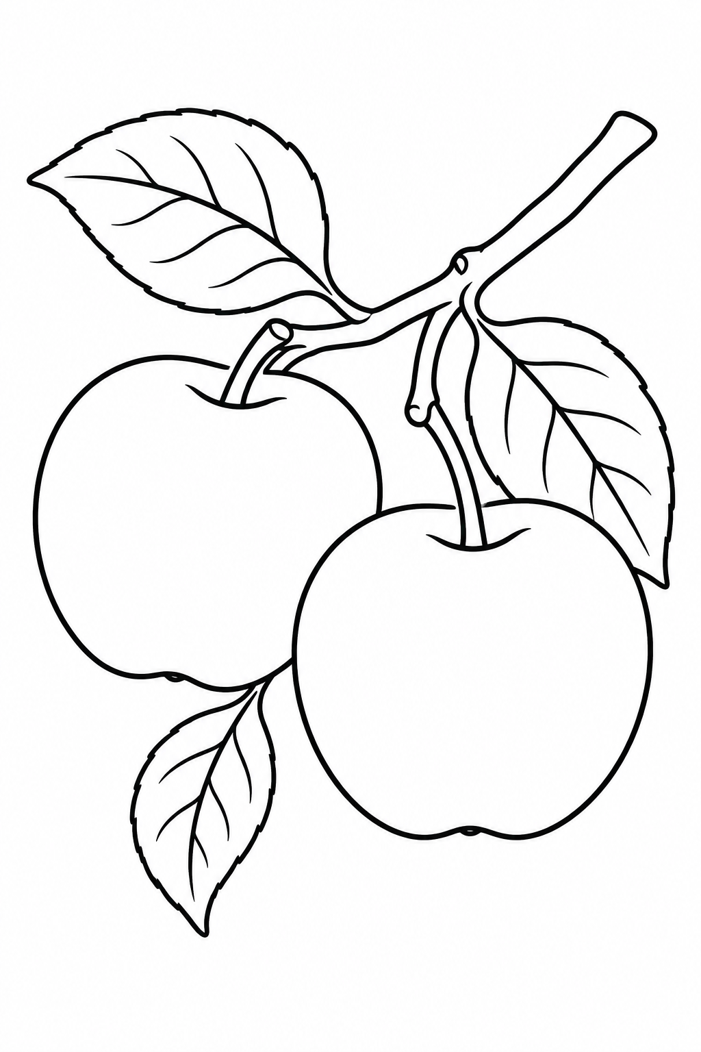 Twee appels hangen aan een korte tak met enkele bladeren.