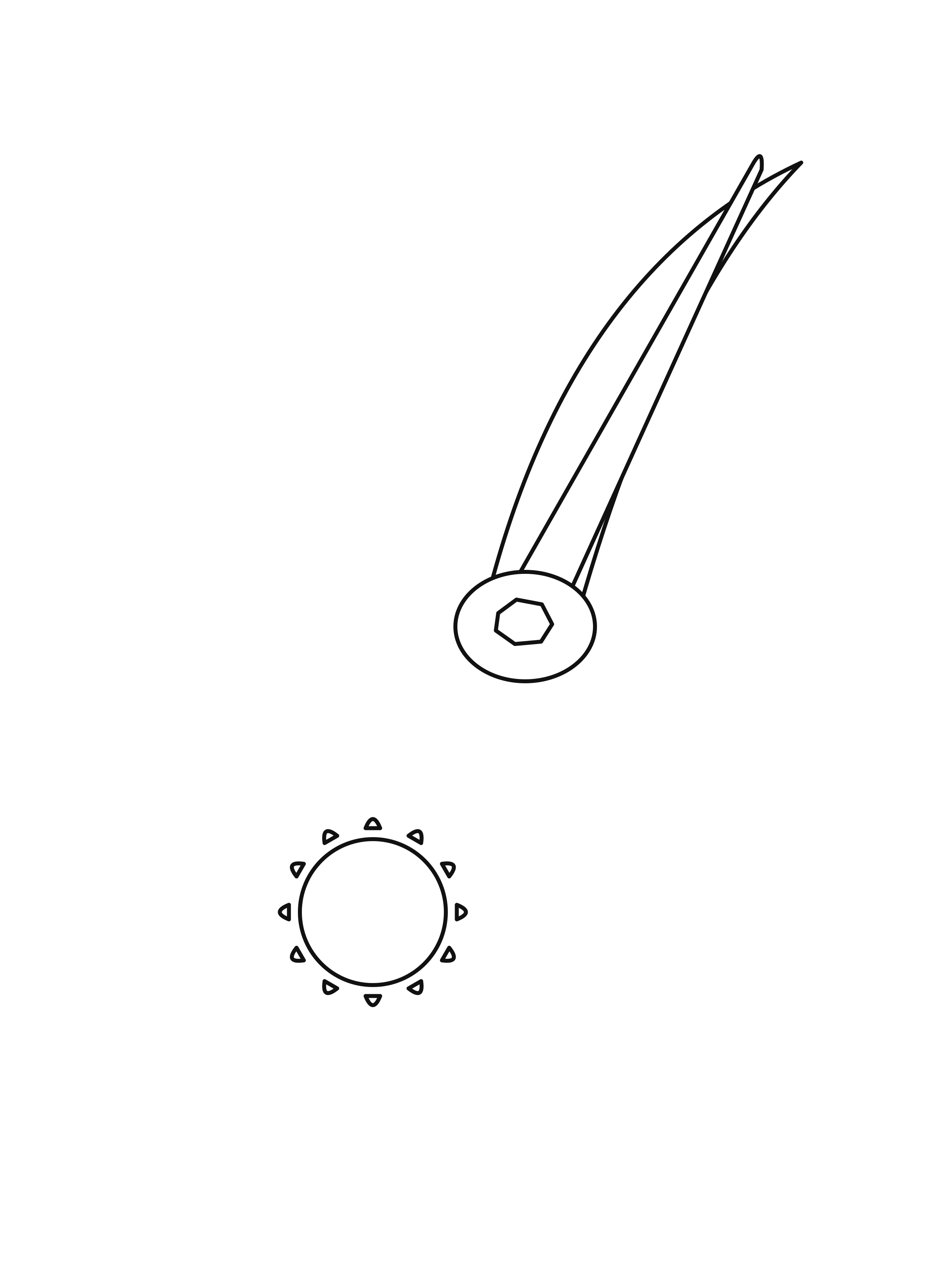 A comet has a small nucleus, an oval cloud around it and two tails extending away from the Sun.