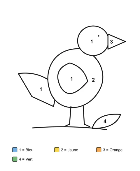Oiseau de profil sur une branche à une feuille, avec la tête, l’aile, le corps, la queue et le bec numérotés.