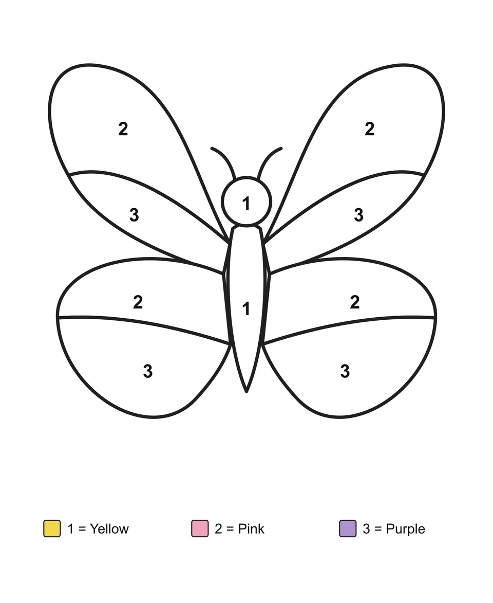 Butterfly with four spread wings, each divided into two numbered sections, above a three-color key.
