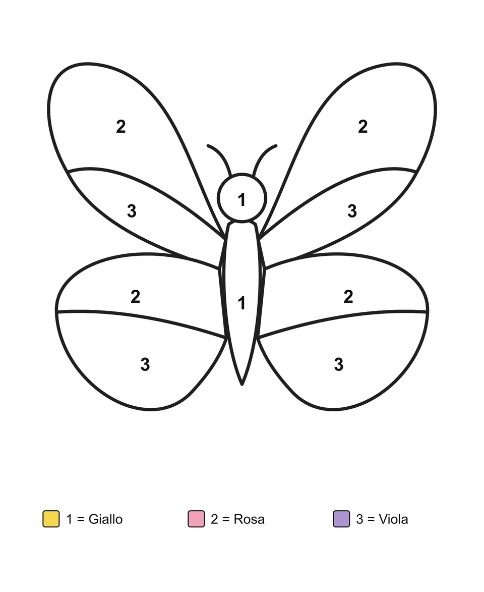Farfalla con quattro ali aperte, ciascuna divisa in due zone numerate, sopra una legenda di tre colori.