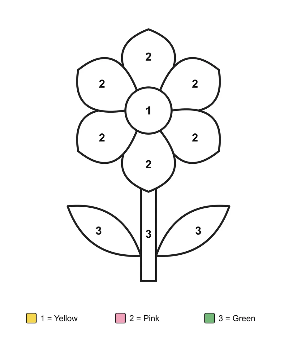 A flower with six petals and two leaves, with numbered areas and a written color key.