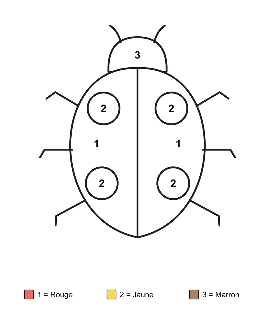Une coccinelle avec quatre taches rondes, avec des zones numérotées et un code couleur écrit.
